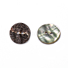 Abalone Shell/Paua Shell BSHE-I011-04A-1