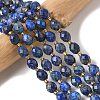 Dyed Natural Lapis Lazuli Beads Strands G-F809-A35-01-1