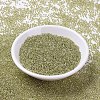 MIYUKI Round Rocailles Beads SEED-JP0008-RR1125-2