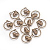 Alloy Pendants EA9508Y-AB-1