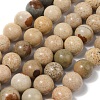 Natural Picture Jasper Beads Strands G-G184-A03-01-1