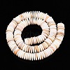 Natural Freshwater Shell Beads Strands SSHEL-T017-02-2