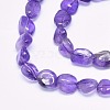 Natural Amethyst Beads Strands G-O173-098-3