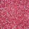 6/0 Transparent Inside Colours Glass Seed Beads SEED-N006-003K-3