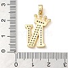 Rack Plating Brass Micro Pave Cubic Zirconia Pendants KK-D535-01N-RS-3