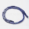 Natural Lapis Lazuli Beads Strands X-G-G968-D03-2