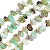 Natural Chrysoprase Beads Strands G-A296-02-2