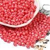 Baking Painted Glass Seed Beads SEED-C004-01N-1