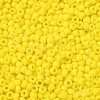 TOHO 6/0 Round Beads X-SEED-TR06-0042F-3