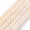 Natural Cultured Freshwater Pearl Beads Strands PEAR-I007-02N-02C-2