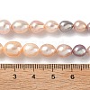 Natural Cultured Freshwater Pearl Beads Strands PEAR-C004-16-7