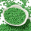 6/0 Opaque Baking Paint Glass Seed Beads SEED-M012-02A-06-2