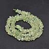 Natural Prehnite Chip Beads Strands G-E271-99-2