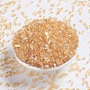 MIYUKI Quarter TILA Beads X-SEED-J020-QTL251-1