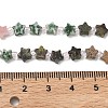 6 Styles Opalite & Synthetic Malachite & Natural Picture Jasper & Rhodonite & Green Spot Jasper & Dragon Blood Jasper Beads Strands G-D095-A03-6