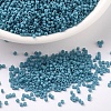 MIYUKI Delica Beads SEED-X0054-DB0798-1