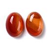 Oval Natural Carnelian Cabochons G-K020-20x15mm-05-2