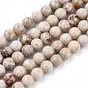 Natural Maifanite/Maifan Stone Beads Strands X-G-F353-10mm-3