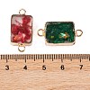 Dyed Natural Imperial Jasper & Resin Connector Charms G-B083-04G-3