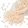 TOHO 6/0 Round Beads SEED-TR06-0123-1