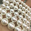 Shell Pearl Beads Strands BSHE-E008-16mm-12-2