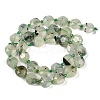 Natural Prehnite Beads Strands G-C116-A19-01-4