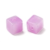 Transparent Acrylic Beads OACR-A021-14B-2