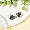Paua Shell & Brass Stud Earrings for Women EJEW-JE07472-02-1