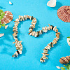 1 Strand Natural Seashell Shell Beads Strands SSHEL-TA0001-12-5