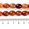 Natural Red Agate Beads Strands G-NH0019-C02-01-5