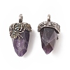 Natural Amethyst Pendants G-C051-03F-3