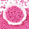 Opaque Baking Paint Glass Seed Beads SEED-T008-02I-2