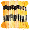 6-Ply Polyester Embroidery Floss OCOR-WH20074-01A-05-1