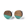 Transparent Resin & Walnut Wood Stud Earrings X-EJEW-N017-008-A04-2