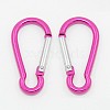 Aluminum Rock Climbing Carabiners EA026-02-1