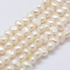 Natural Cultured Freshwater Pearl Beads Strands PEAR-K004-13C-01-1