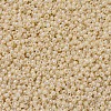 MIYUKI Round Rocailles Beads X-SEED-G007-RR0487-3