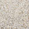 TOHO 8/0 Round Beads SEED-TR08-0021-2