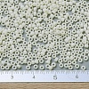 MIYUKI Round Rocailles Beads SEED-G007-RR0491-4