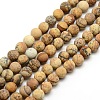 Frosted Natural Picture Jasper Round Bead Strands G-M064-6mm-05-1