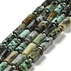 Natural African Turquoise(Jasper) Beads Strands G-N327-06-29-1