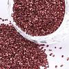 FGB Plated Glass Seed Beads SEED-S020-03A-01-1