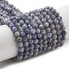 Natural Tanzanite Beads Strands G-G161-A14-03-1