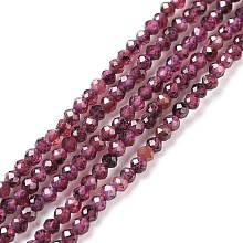 Natural Garnet Beads Strands X-G-O186-D01-A