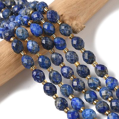 Dyed Natural Lapis Lazuli Beads Strands G-F809-A35-01-1