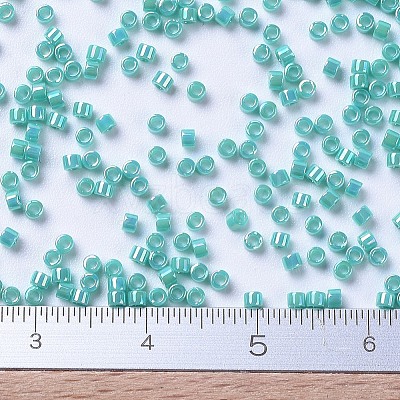 MIYUKI Delica Beads X-SEED-J020-DB0166-1