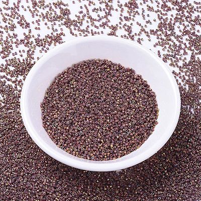MIYUKI Delica Beads Small X-SEED-J020-DBS1013-1