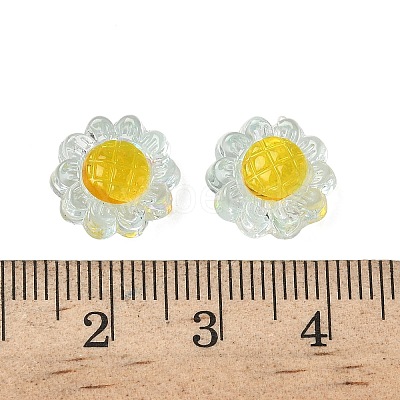 Translucent Resin Beads RESI-D312-04D-1