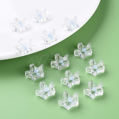 Transparent Acrylic Beads MACR-S373-105-B08-1