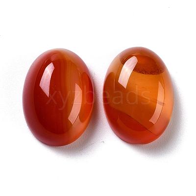 Oval Natural Carnelian Cabochons G-K020-20x15mm-05-1